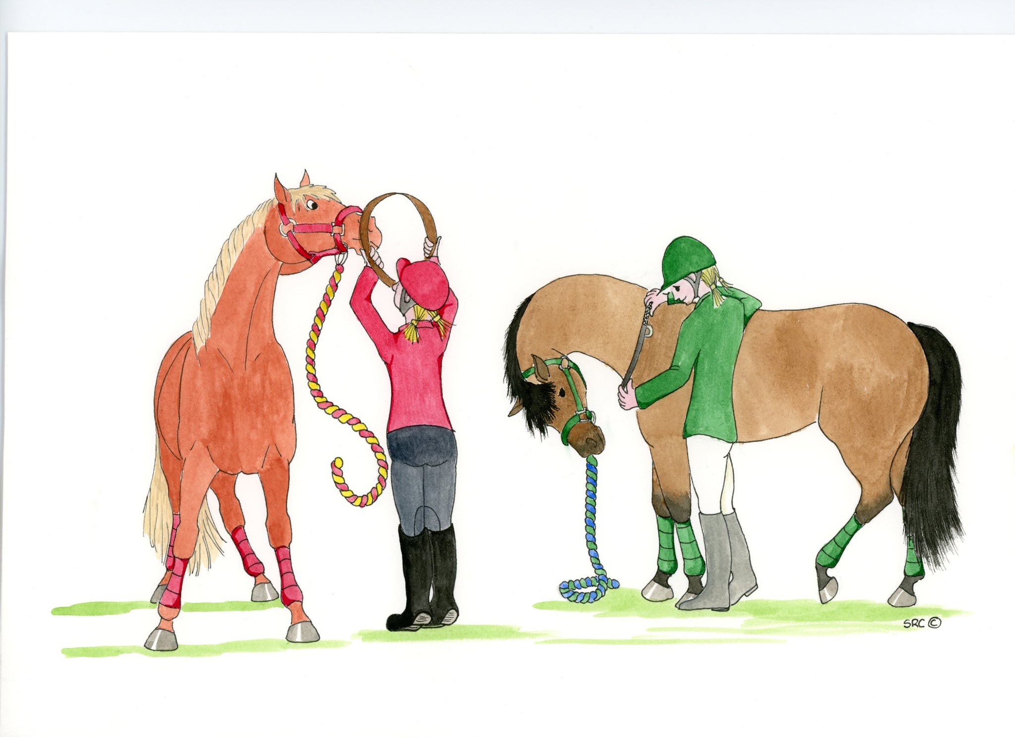 Cold Starts to Comfort Zones.  Salute offers some tips for backing and starting a young horse.