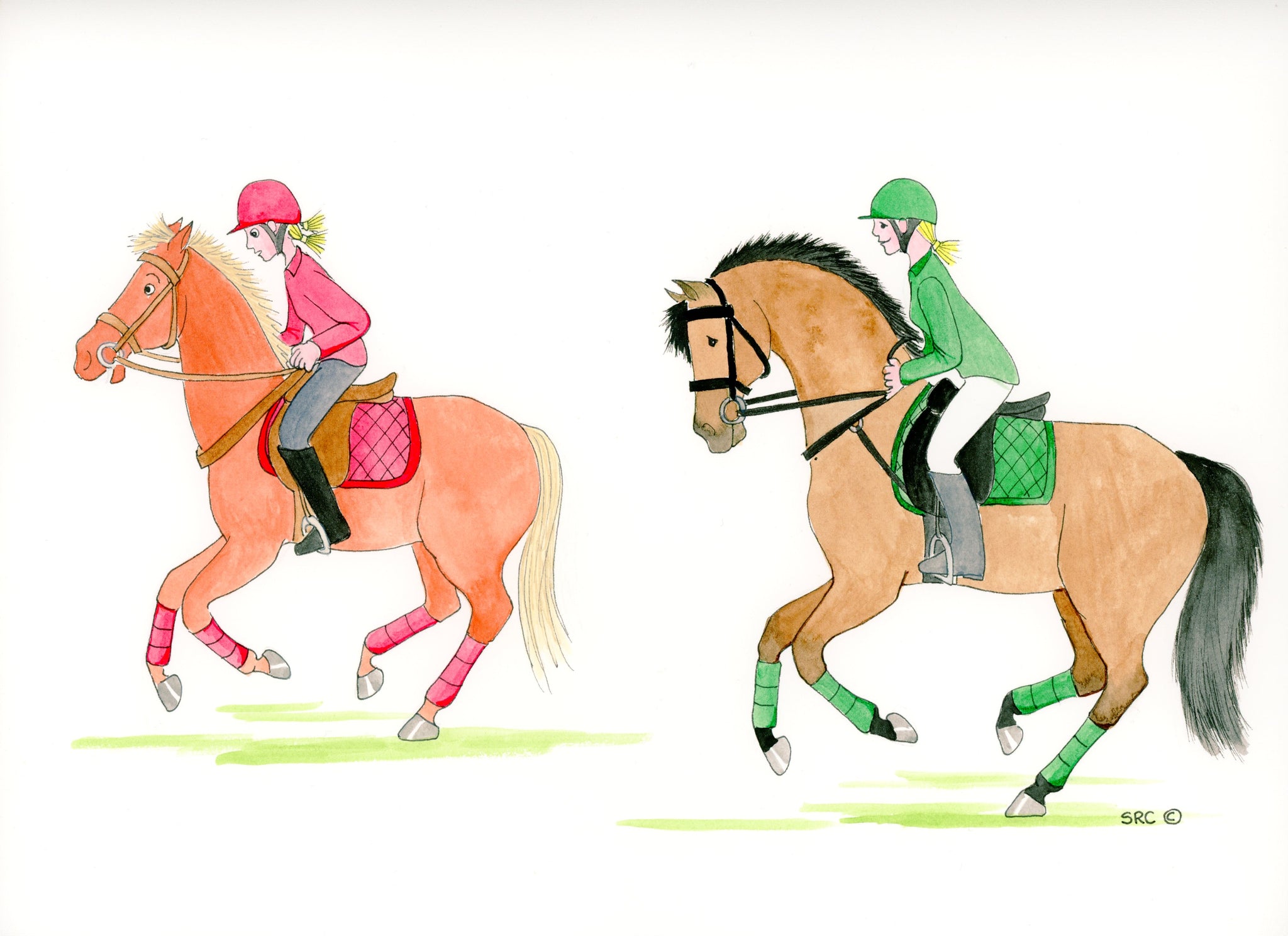 Spooky, Sharp, Keen or Green?  A Click & Connect Neck Strap can help you and your horse.