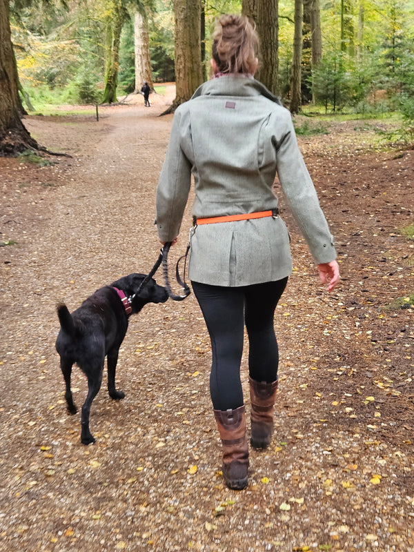 Leather Dog-walking Canicross Belt