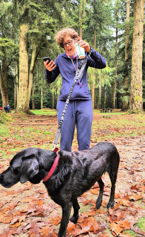 Leather Dog-walking Canicross Belt