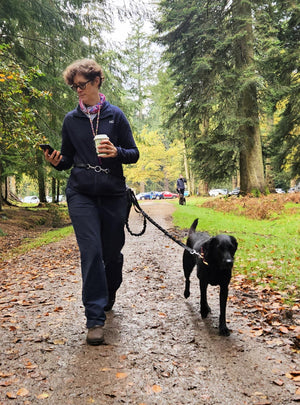 Leather Dog-walking Canicross Belt