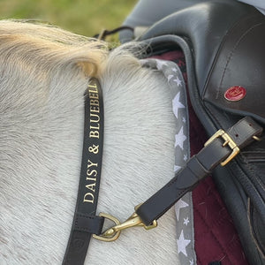 Click & Connect Bright Start Breastplate