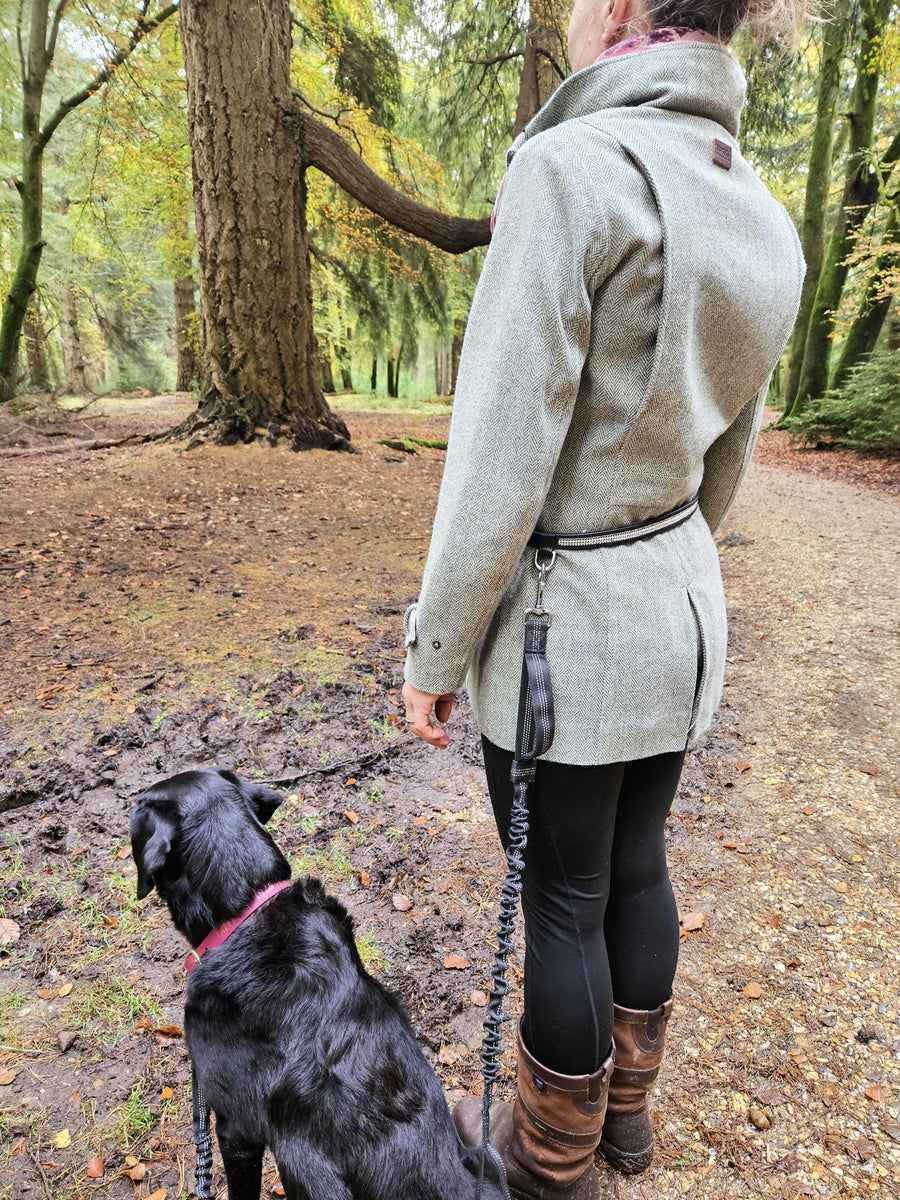 Leather Dog-walking Canicross Belt