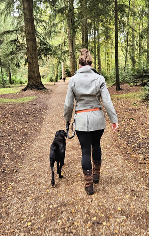 Leather Dog-walking Canicross Belt