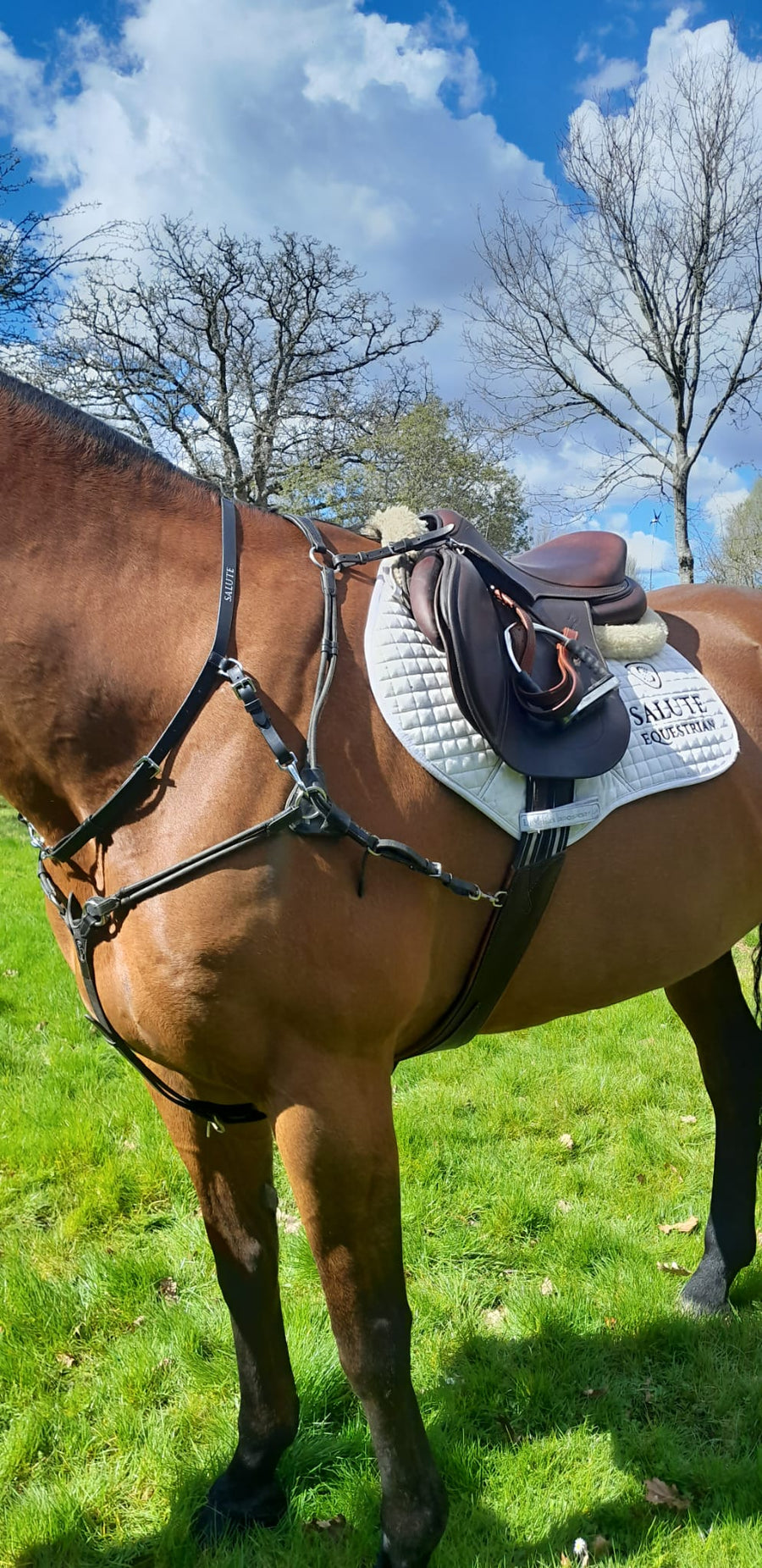 Eventing Neck Strap Connectors