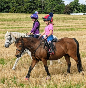 Click & Connect Bright Start Breastplate