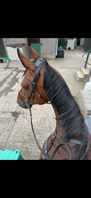 Eventing Neck Strap