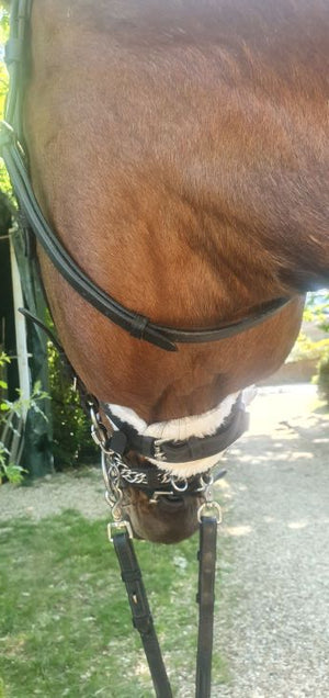 Classic Black Click & Connect Neck Strap