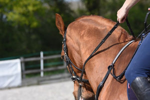 Neck Strap to Saddle Connectors