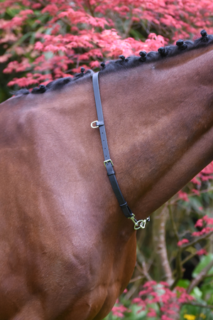 Classic Brown (chrome clips) Click & Connect Neck Strap