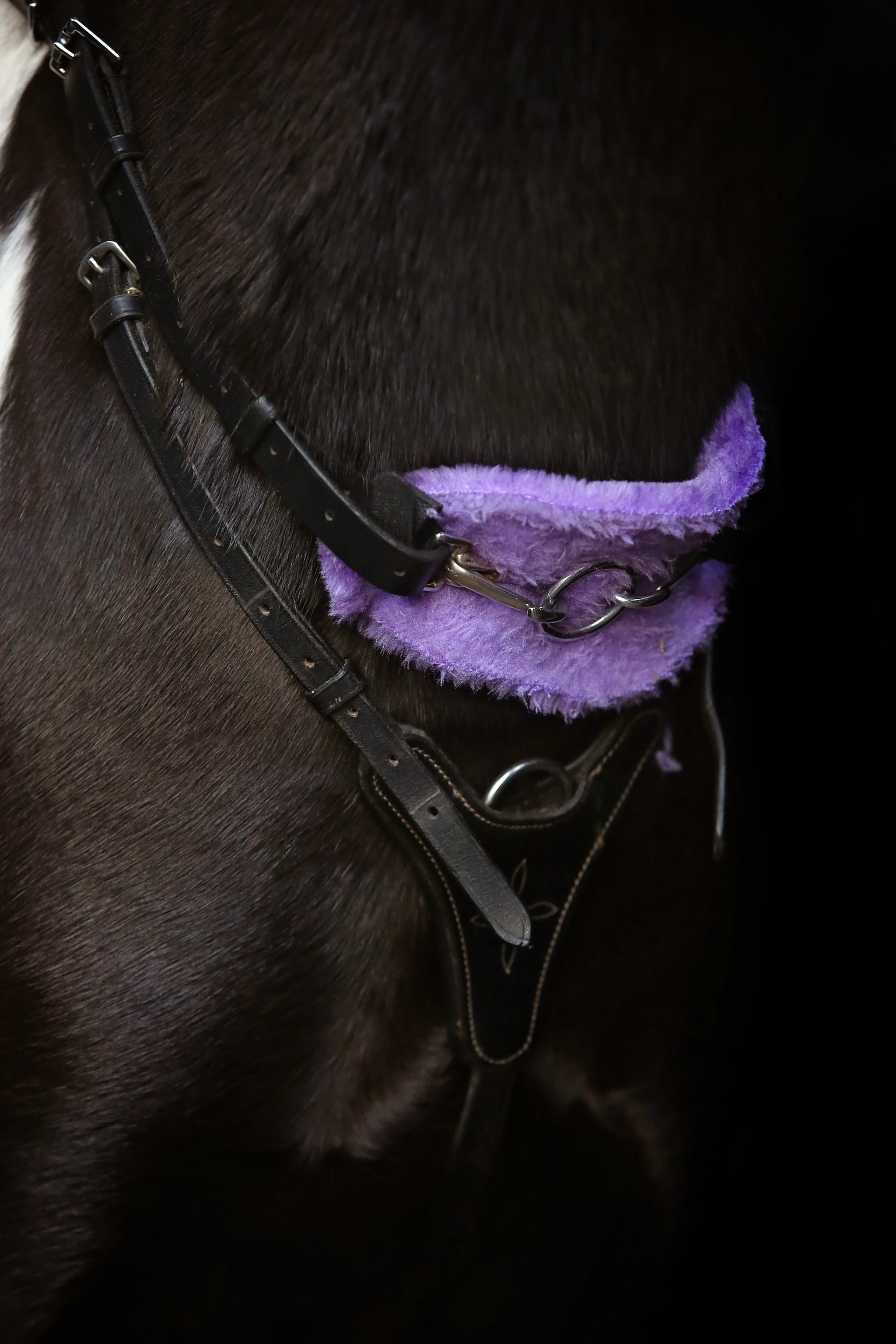 Neck Strap Short Connectors - Salute Equestrian Ltd